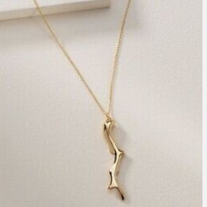 Stella and Dot Chase Coral Pendant Necklace